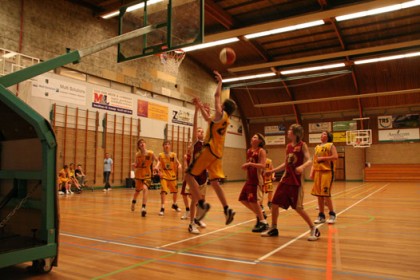 Basketbalpromonormaal